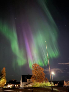 Cozy apartment by sherpa steps with free parking Tromsø